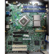 Материнская плата Intel Server Board S3200SH s.775 (Ростов)
