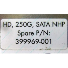 HP 250G 7.2k 432337-001/ 399699-001 / 397377-004 SATA HDD (Ростов)