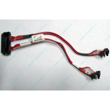 SATA-кабель для корзины HDD HP 451782-001 459190-001 для HP ML310 G5 (Ростов)