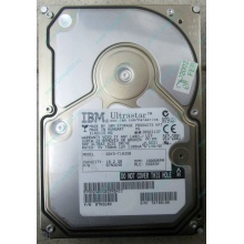 Жесткий диск 18.2Gb IBM Ultrastar DDYS-T18350 Ultra3 SCSI (Ростов)