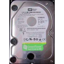 Жесткий диск 500Gb Western Digital WD5000AVVS 5400 rpm SATA (Ростов)