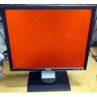 Dell E197F P в Ростове, монитор 19" TFT Dell E197FPb (Ростов)