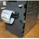HP 365664-001 кабель SCSI для корзины 373108-001 / 359719-001 HP ML370G4 (Ростов)