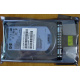 HDD 146.8Gb HP 360205-022 404708-001 404670-002 (Ростов)