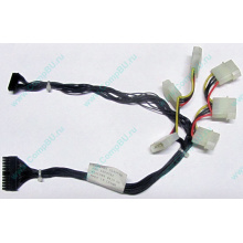 59P4789 FRU 59P4792 в Ростове, кабель IBM 59P4789 FRU 59P4792 для серверов X225 (Ростов)