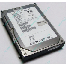 Жесткий диск 80Gb HP 345713-005 371580-002 345733-005 Seagate ST380013AS SATA (Ростов)